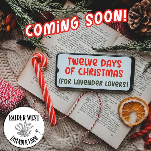Twelve Days of Christmas