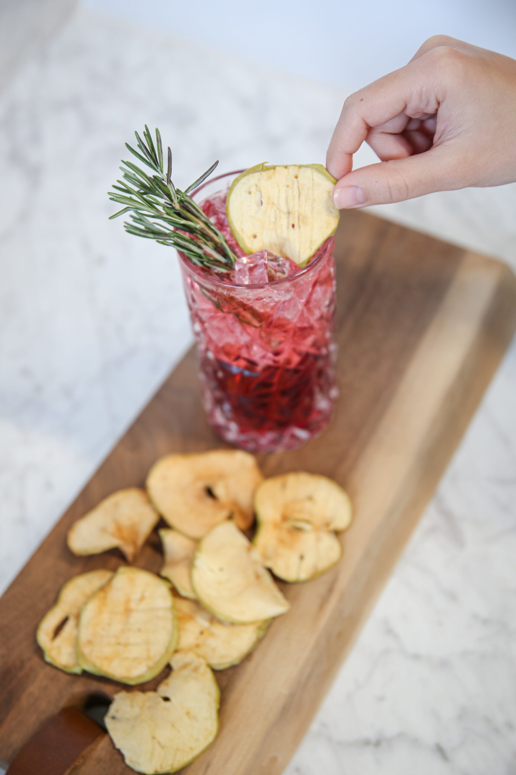 InBooze Dehydrated Fruit Cocktail Garnishes - Perfect for Your Home Bar! Mixed Citrus Garnish
