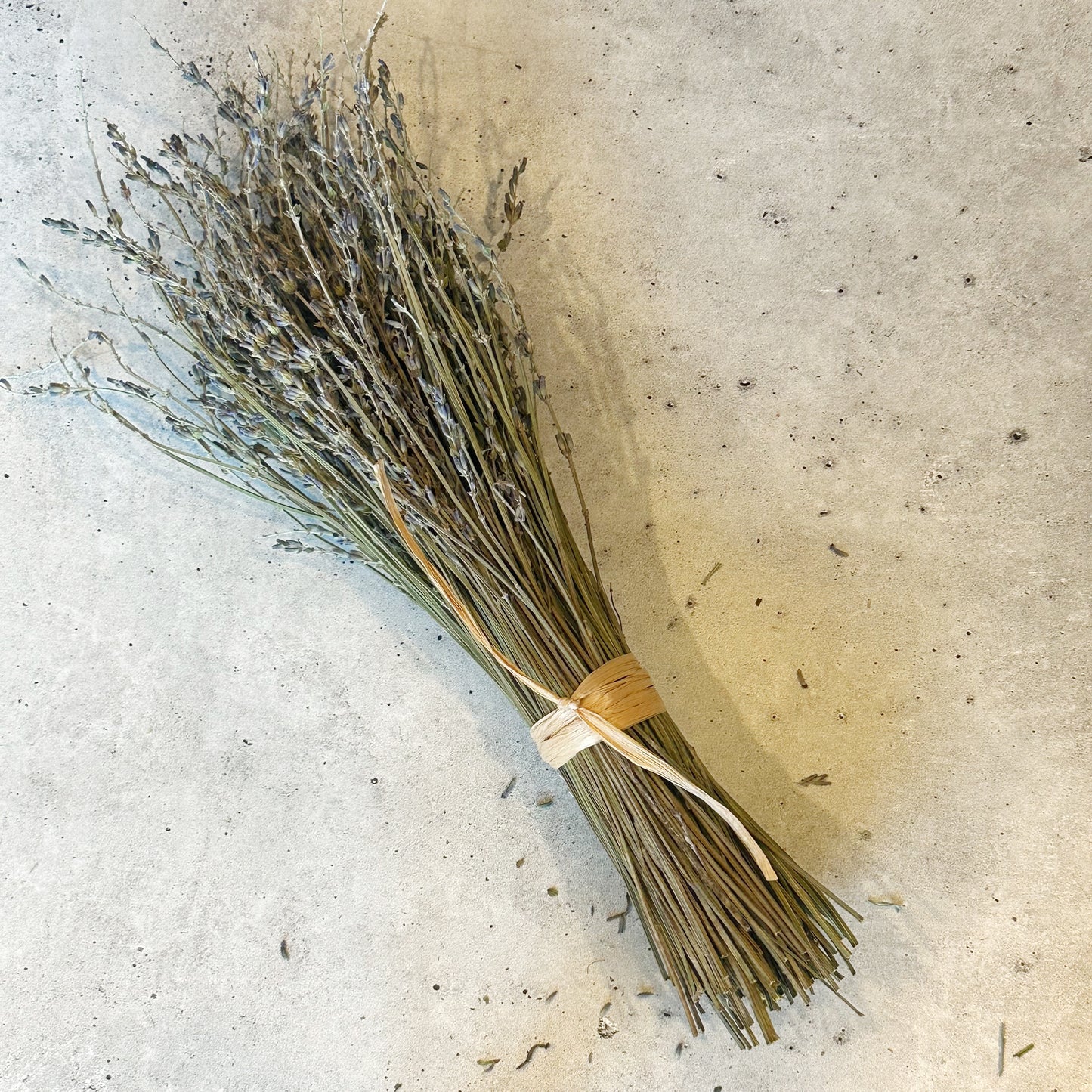 Lavender Fire Starter Bundle