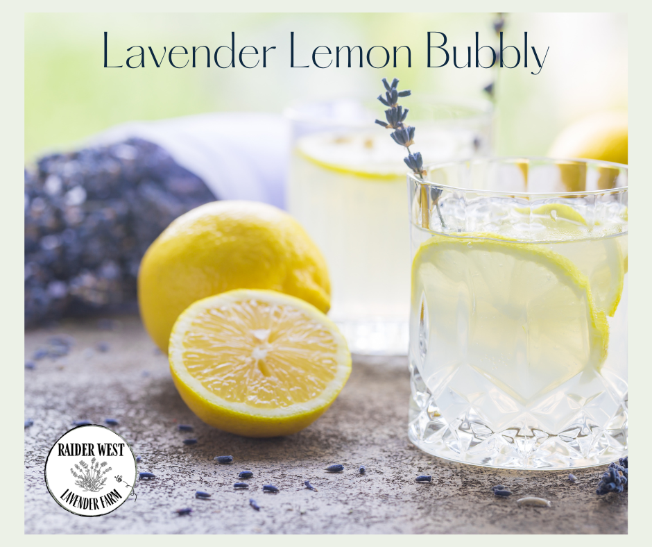 lavender lemon bubbly, lavender lemonade, lavender sugar, lavender beverages, lavender farm, raider west farms, lubbock, tx, lavender lemon ice, cooking with lavender